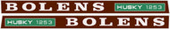 Bolens 1253 hood decal
